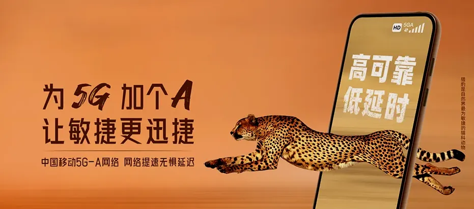 玉环市玉环市坎门街道 移动宽带